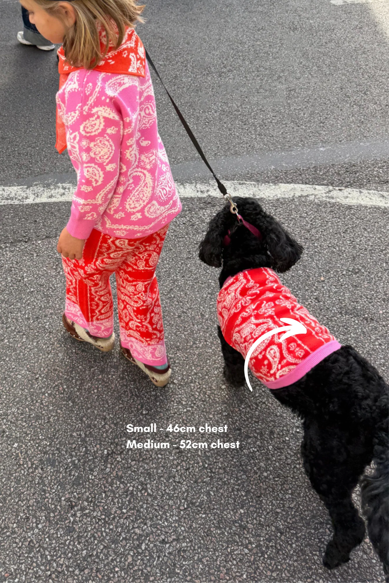 4227-red-and-pink-bandana-dog-jumper-2.webp Red and Pink Bandana Dog Jumper