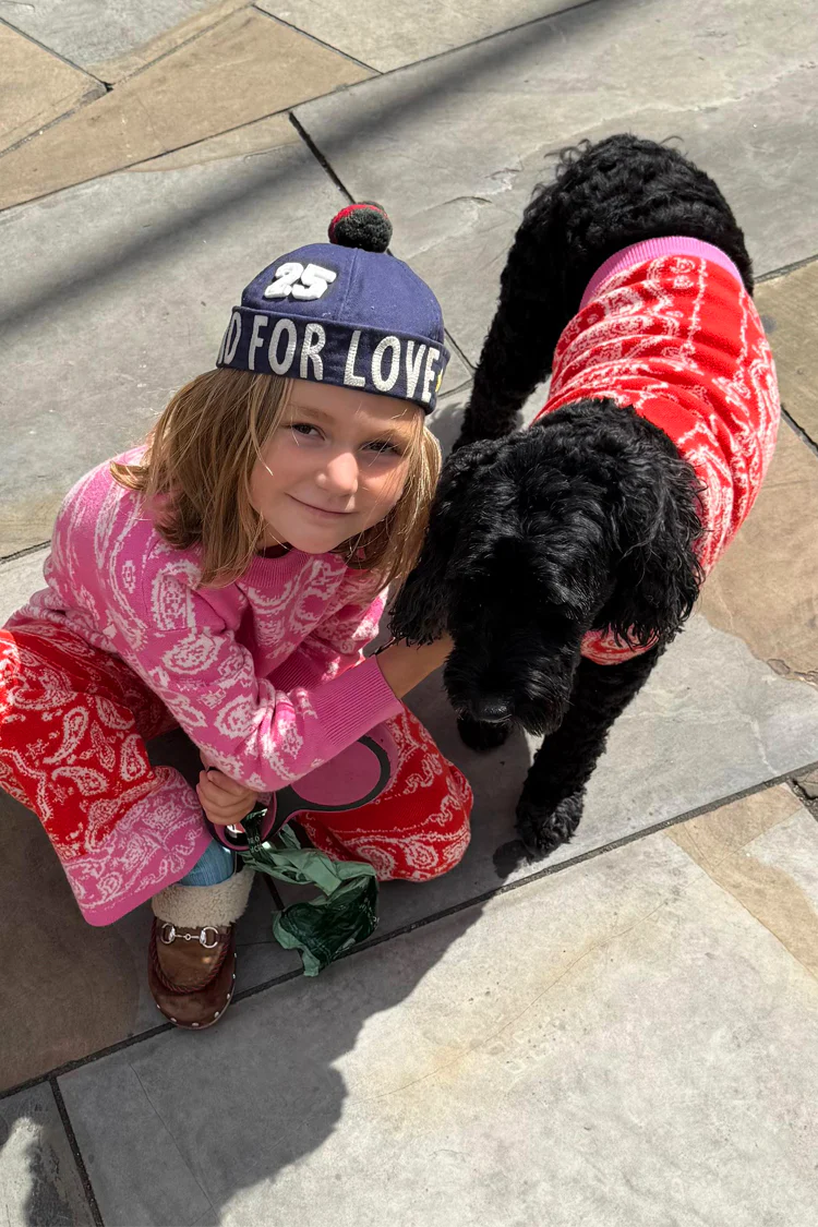 4227-red-and-pink-bandana-dog-jumper-3.webp Red and Pink Bandana Dog Jumper