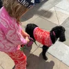 4227-red-and-pink-bandana-dog-jumper-4.webp Red and Pink Bandana Dog Jumper