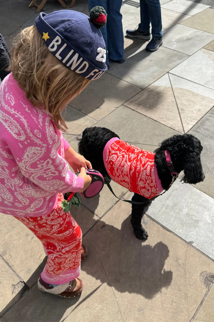 4227-red-and-pink-bandana-dog-jumper-4.webp Red and Pink Bandana Dog Jumper