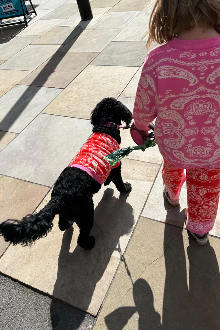 4227-red-and-pink-bandana-dog-jumper-5.webp Red and Pink Bandana Dog Jumper