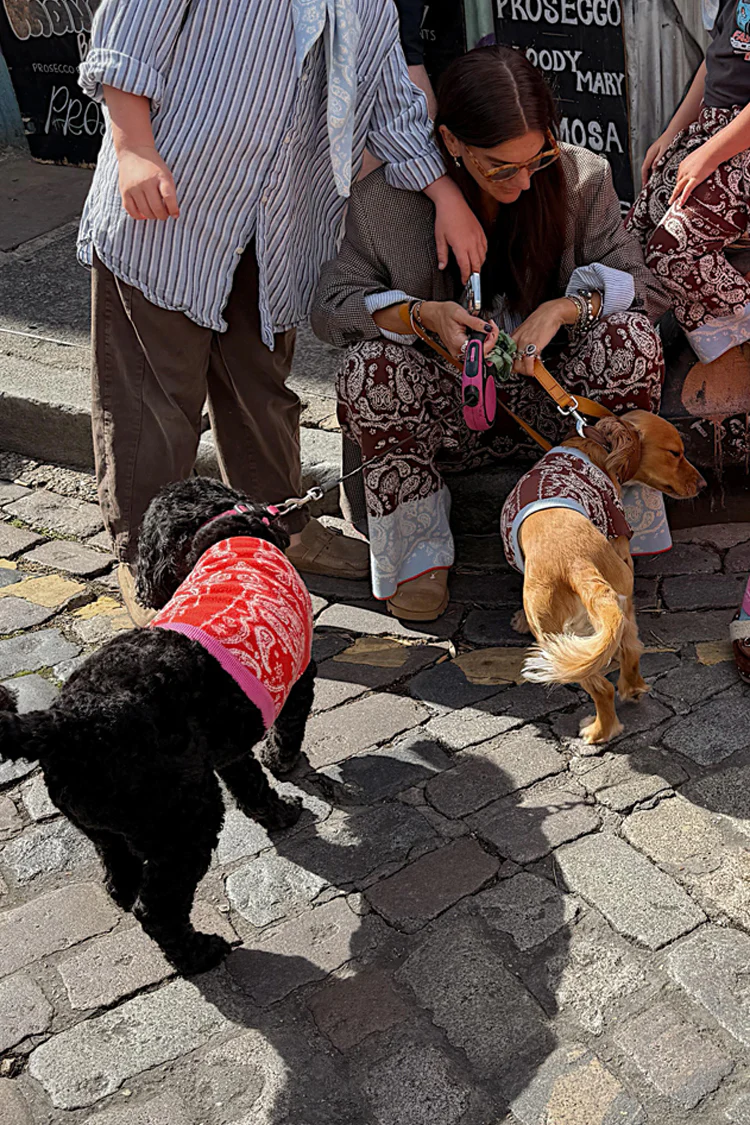 4227-red-and-pink-bandana-dog-jumper-6.webp Red and Pink Bandana Dog Jumper