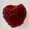 4399-nfd-eau-de-parfum-candle-002-6.webp NFD Eau De Parfum Candle 002
