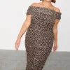 Leopard Diaz Dress