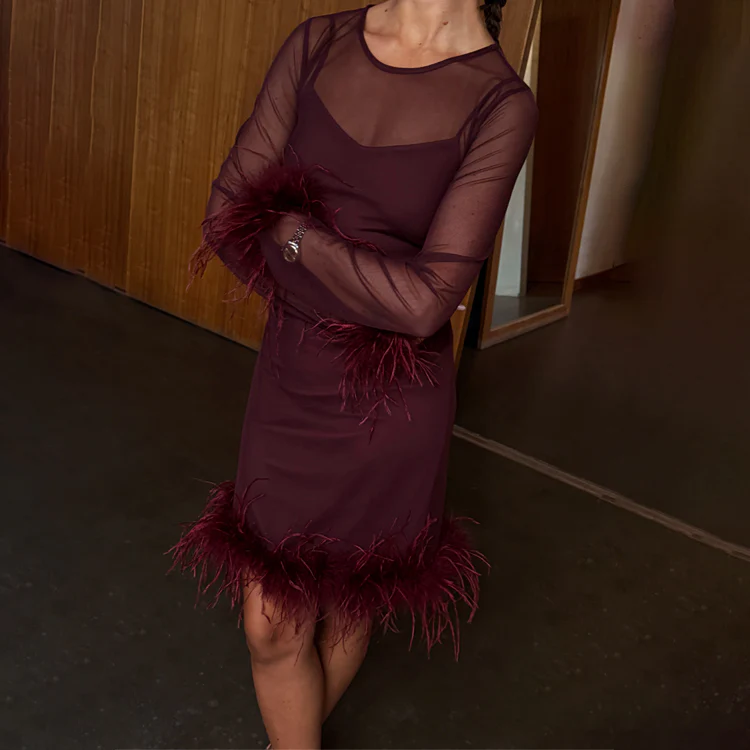 6513-dir-1679091c5a88-6-variation-1.webp Wine Mesh Feather Mini Dress