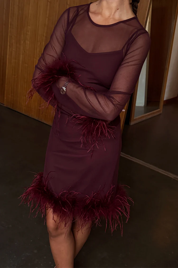 6513-dir-1679091c5a88-6-variation-2.webp Wine Mesh Feather Mini Dress
