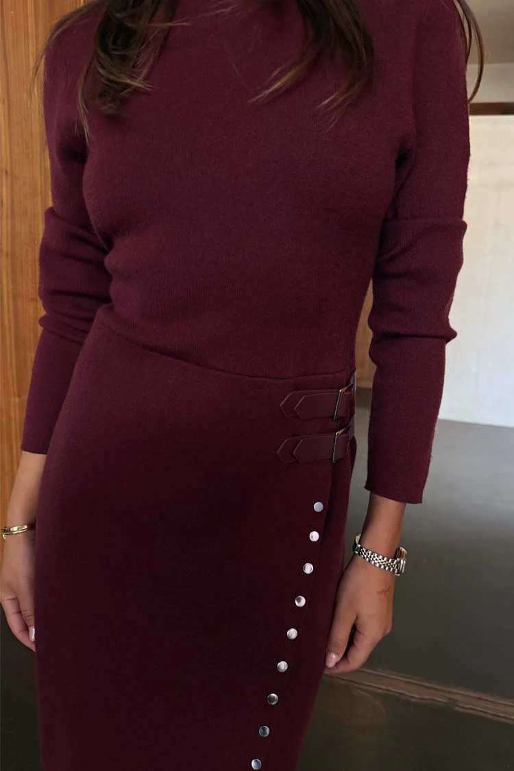 6927-burgundy-stud-sammie-mini-dress-5.webp Burgundy Stud Sammie Mini Dress
