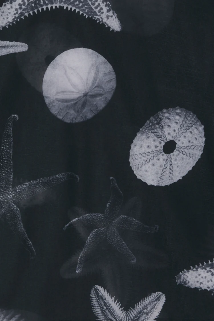 7033-black-seashell-mesh-t-shirt-11.webp Black Seashell Mesh T Shirt