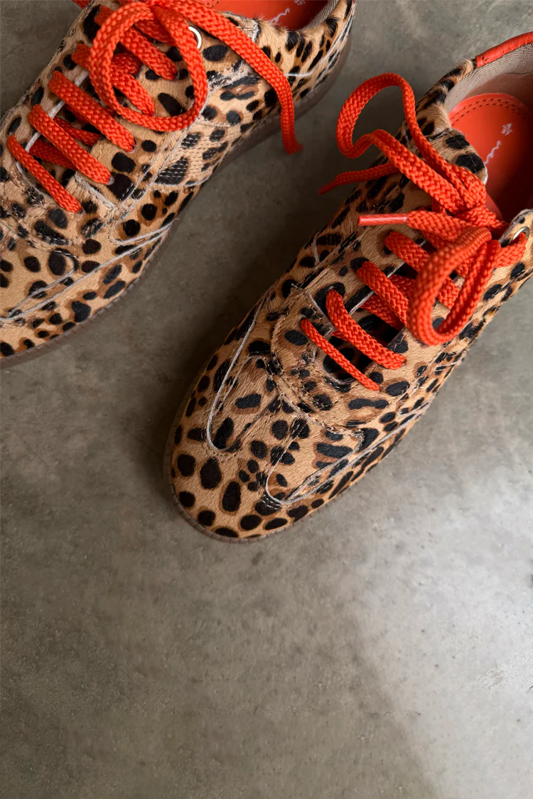 7922-leopard-pony-trainer-3.webp Leopard Pony Trainer