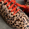 7923-uk-3-uk-3-variation-5.webp Leopard Pony Trainer
