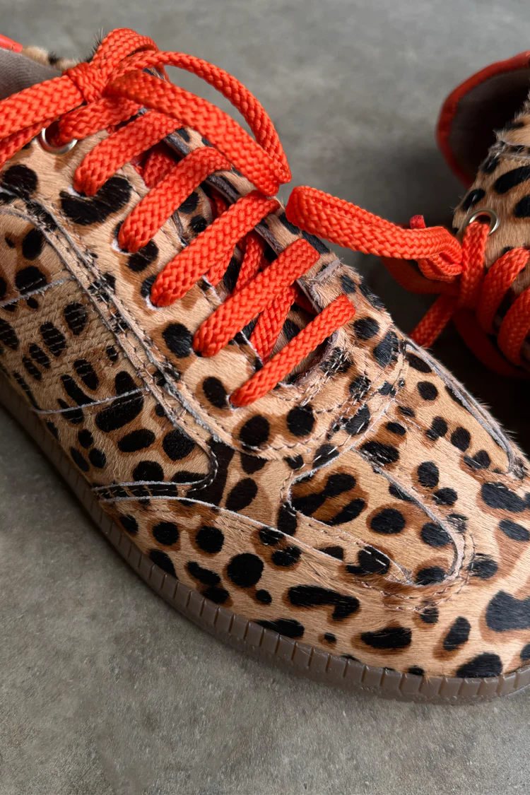 7923-uk-3-uk-3-variation-5.webp Leopard Pony Trainer