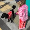 Kids Red and Pink Bandana Knitted Set